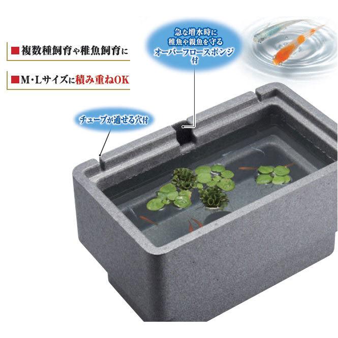 GEX メダカ元気 快適繁殖ケース S :gexs16969:トロピカルワールド ヤフー店 - 通販 - Yahoo!ショッピング GEX メダカ元気 快適繁殖ケース S :gexs16969:トロピカルワールド ヤフー店 - 通販 - Yahoo!ショッピング