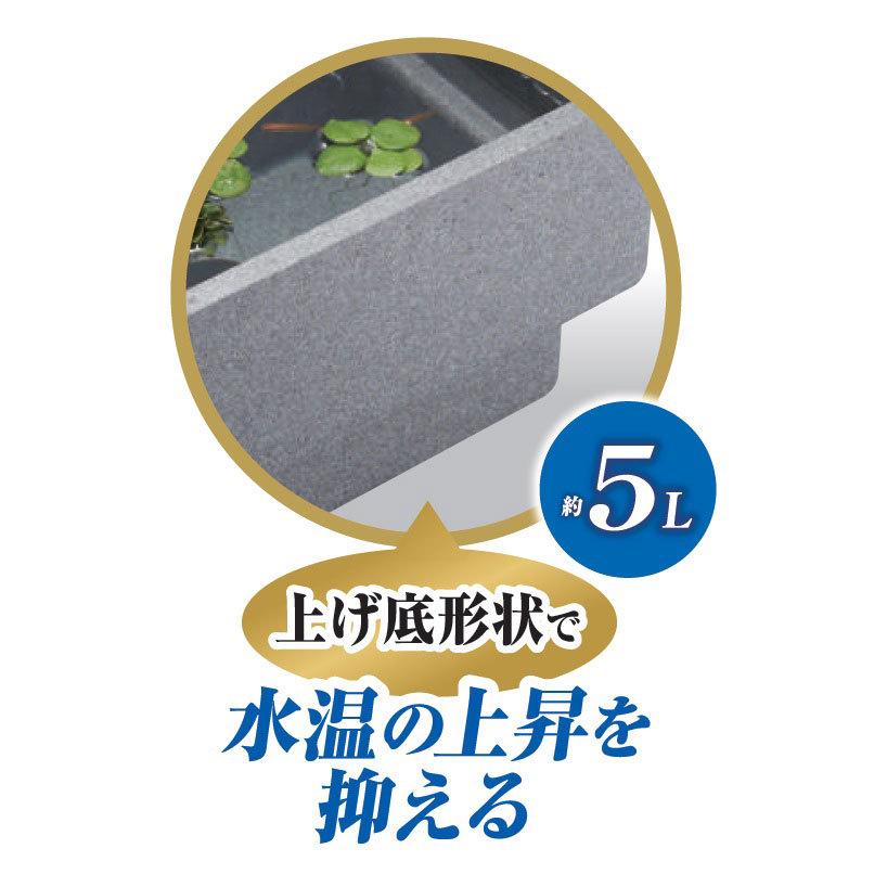 限定値下げ！竿春玉網ケース美品です。 Amazon | GEX ジェックス メダカ元気 快適・繁殖ケース M | GEX