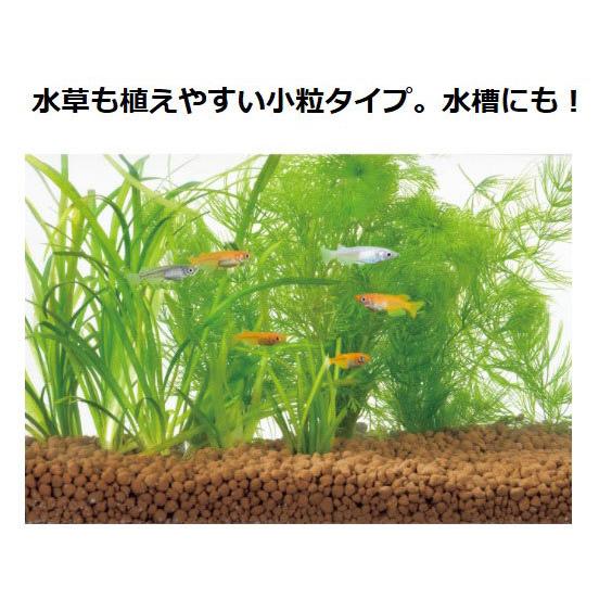 ＧＥＸ　メダカ水景　ろ過する赤玉土　小粒　2.5L　メダカ飼育用硬質加工　バクテリア配合｜tropicalworld｜03