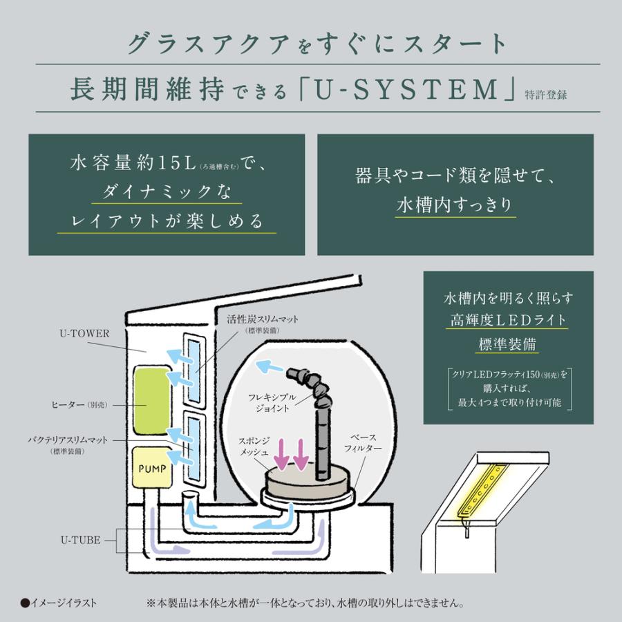 GEX（ジェックス） グラスアクア デカペルコ DEKA PERCO DB-WH
