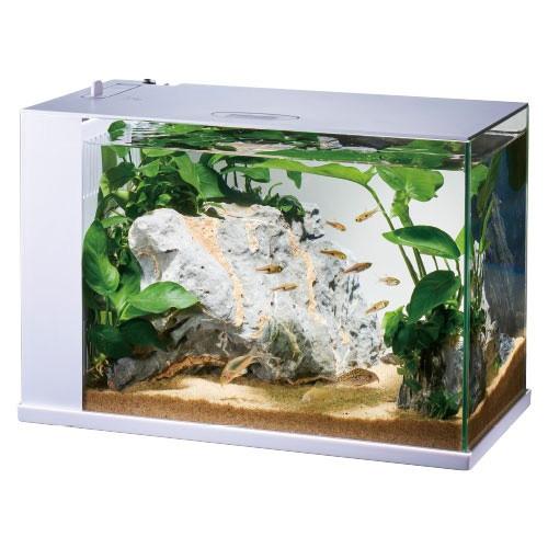 ｇｅｘ ラクテリア ホワイト ｌｅｄ フィルター付 オールインワン水槽セット Gexss1675 トロピカルワールド ヤフー店 通販 Yahoo ショッピング