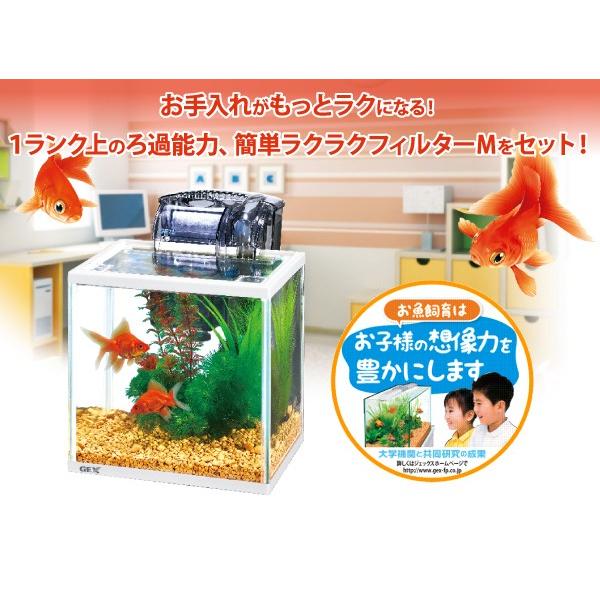 ｇｅｘ 金魚元気ラクラクセット 小型観賞魚飼育セット Gexss1737 トロピカルワールド ヤフー店 通販 Yahoo ショッピング