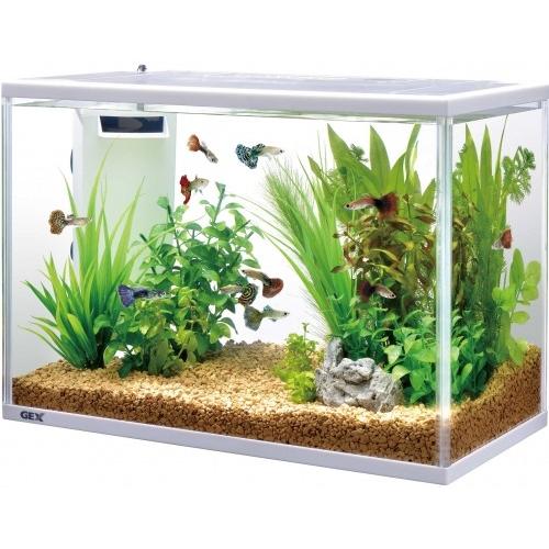 ｇｅｘ サイレントフィット４００ 熱帯魚 アクアリウム 水槽 アクアリウム 水槽セット Gexss1777 トロピカルワールド ヤフー店 通販 Yahoo ショッピング