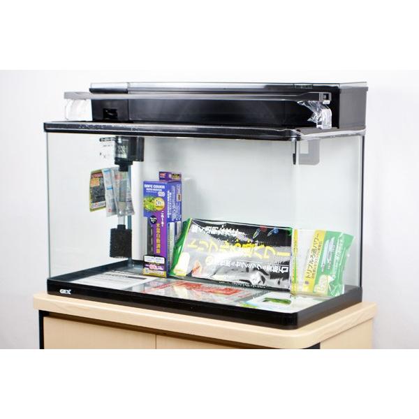 送料無料 GEX ラピレスRV60DT LEDセット 60cm曲げガラス水槽