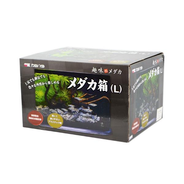 カミハタ 趣味のメダカ メダカ箱 L プラスチック製水槽 : トロピカル
