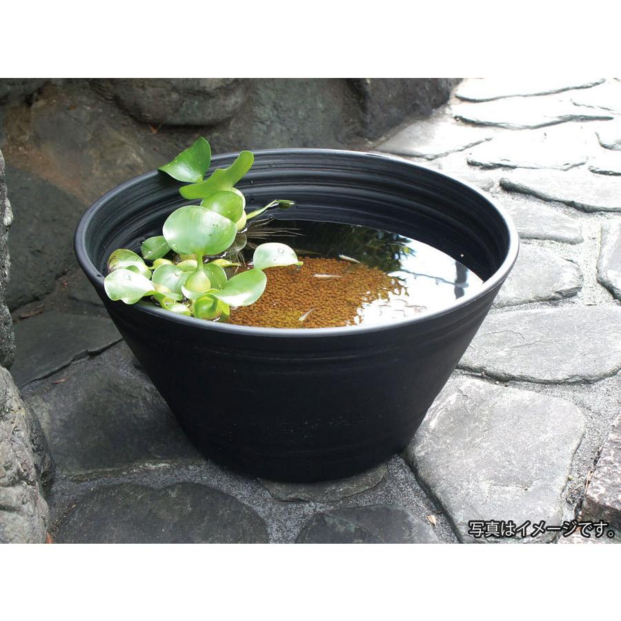 コトブキ工芸 コトブキ めだか円水鉢 黒 径33cm 樹脂製メダカ鉢