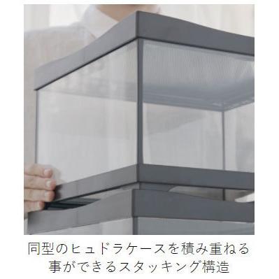 10035sn HYDRA ヒュドラケース 3133Sホワイト ヒュドラケース3133Sホワイト コトブキ工芸 ガラスケース 販売 通販