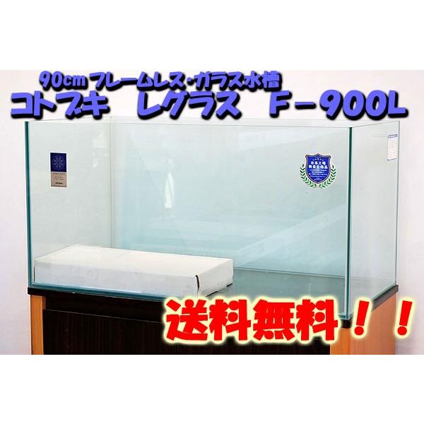 男性に人気！ トロピカルワールド 店送料無料 コトブキ レグラス