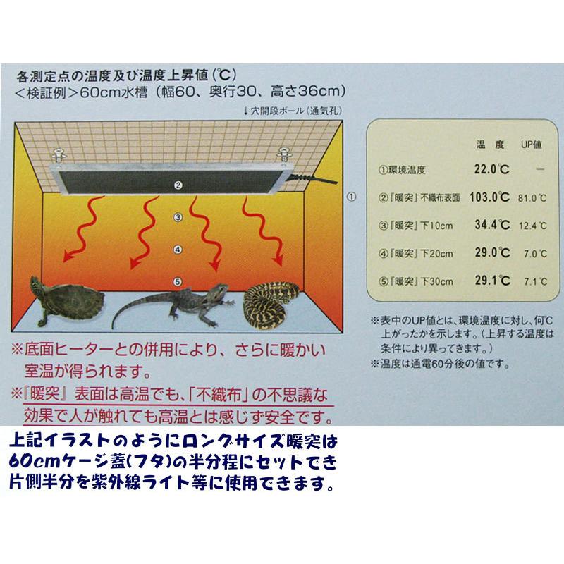 暖突 - 爬虫類