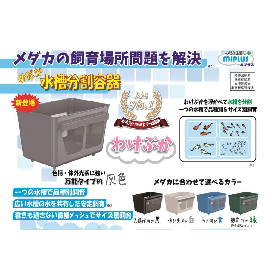 MIPLUS ミプラス わけぷか 灰色 めだか水槽分割容器 熱帯魚