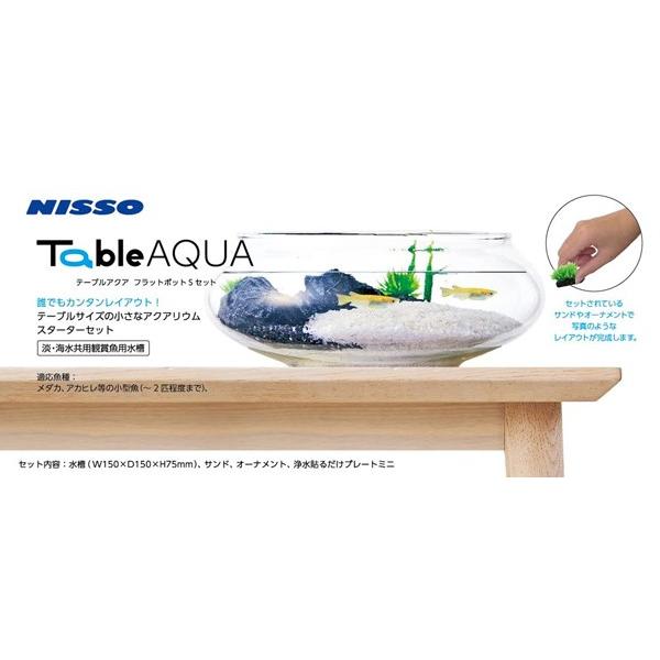 ニッソー 在庫処分 ニッソー テーブルアクア フラットポットSセット