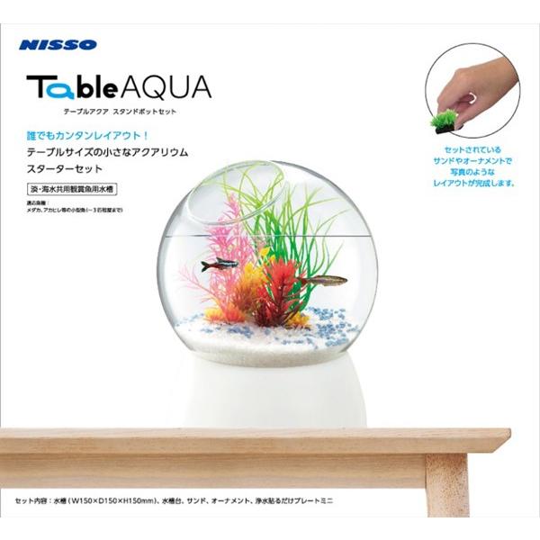 ニッソー 在庫処分 ニッソー テーブルアクア スタンドポットセット