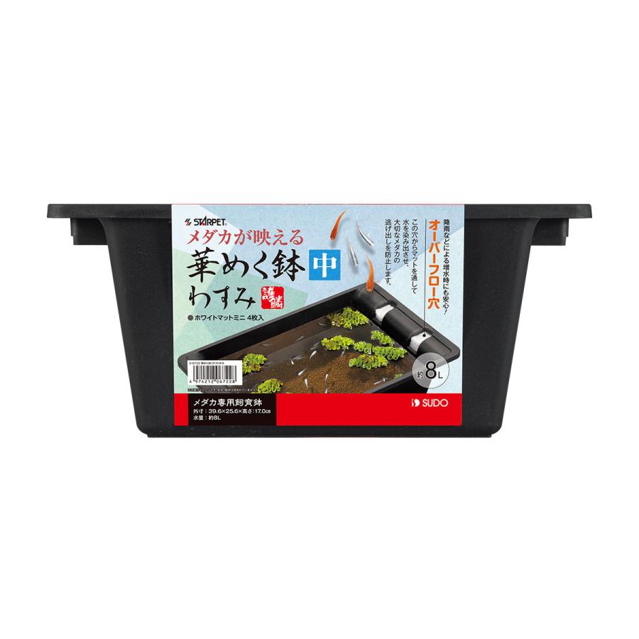 メダカ鉢 華めく鉢中 約8Lオーバーフロー穴付き　12個 スドー 在庫処分 華めく鉢 わすみ 中 メダカ専用飼育鉢 : トロピカル