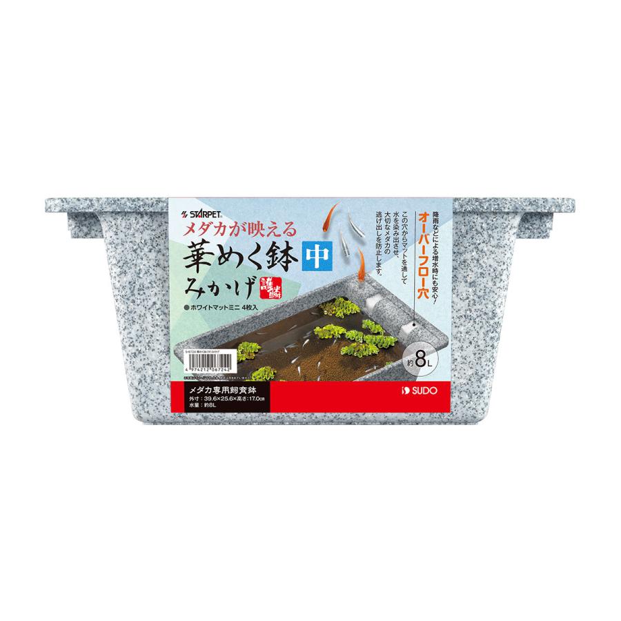 スドー 在庫処分 華めく鉢 みかげ 中 メダカ専用飼育鉢 : トロピカル