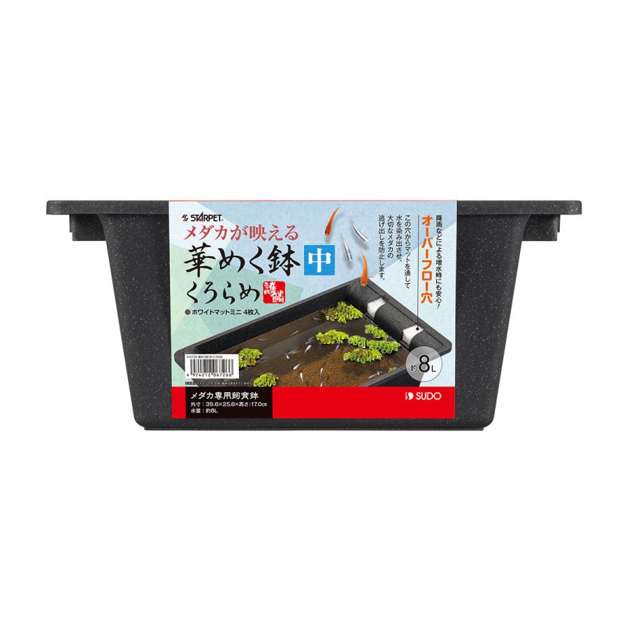 スドー 在庫処分 華めく鉢 くろらめ 中 メダカ専用飼育鉢 : トロピカル