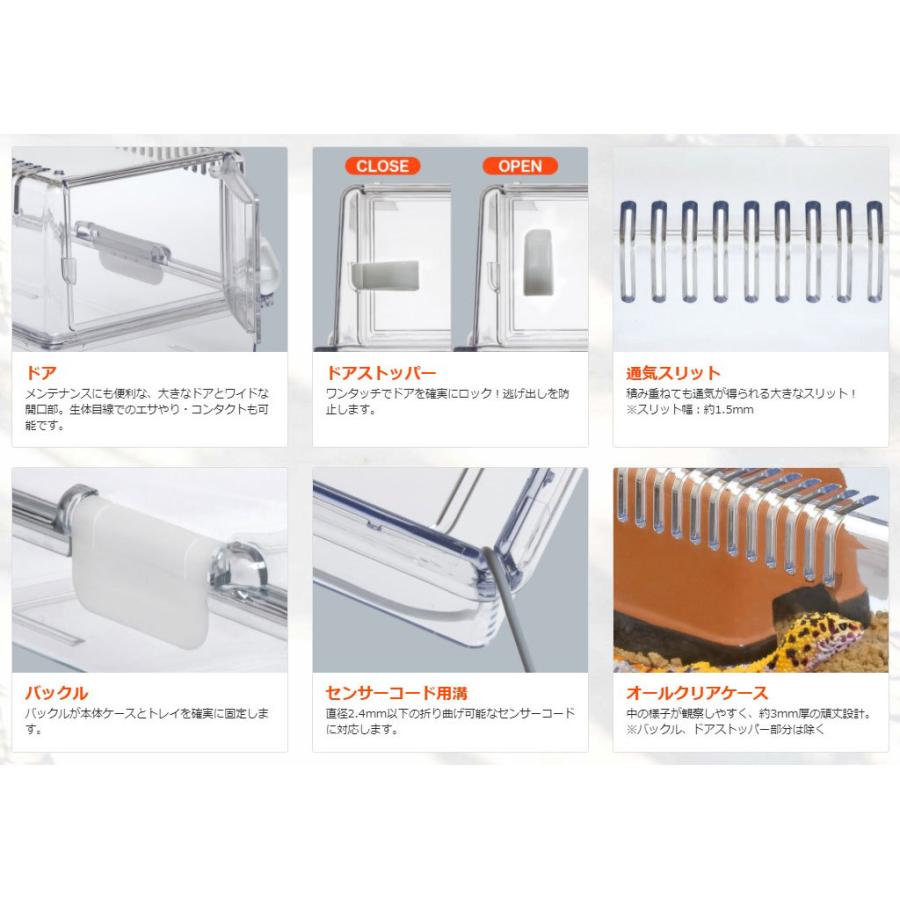 HERP CRAFT スドー レプティギア 300 爬虫類・両生類用飼育ケース