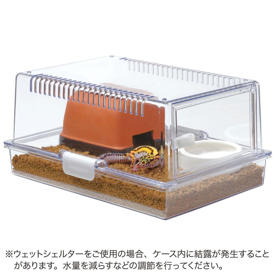 レプティギア365 レプティギア 365 | 株式会社スドー｜観賞魚・水草 爬虫類