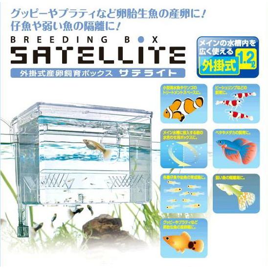 スドー サテライト 【熱帯魚・アクアリウム/産卵箱・飼育ケース】|tropicalworld|03