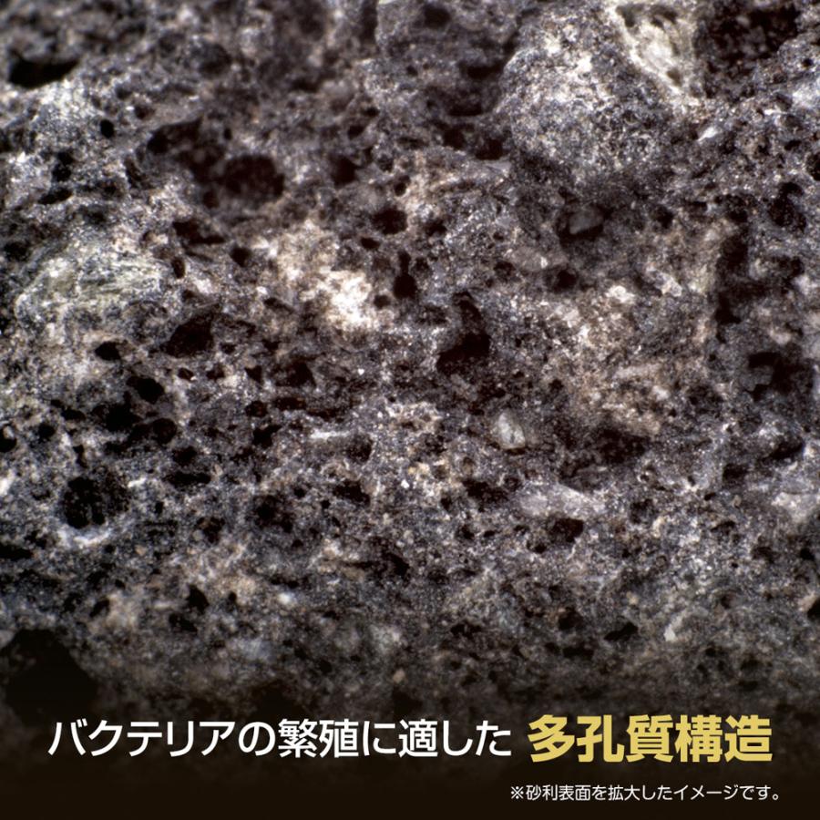 スドー 溶岩ジャリ 細目 1kg 天然溶岩石使用 : トロピカルワールド