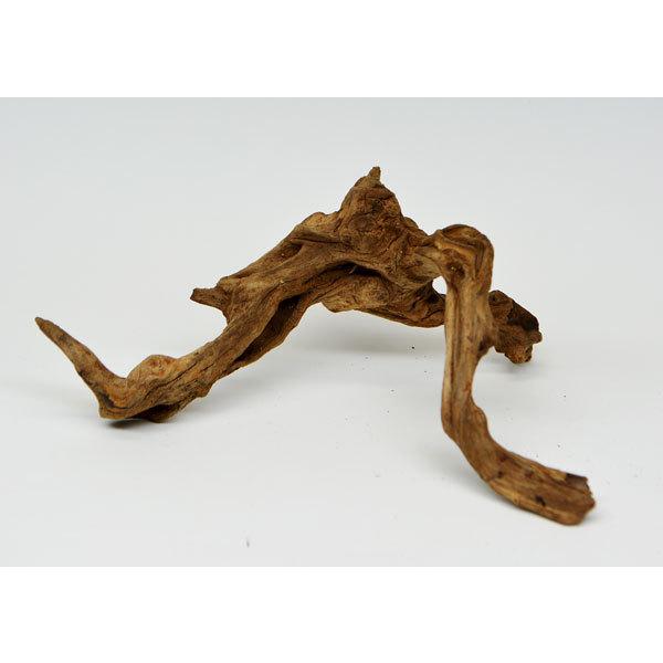 ソネケミファ ツイストウッド ｓｓ 天然流木 形状おまかせ Snkw55 トロピカルワールド ヤフー店 通販 Yahoo ショッピング