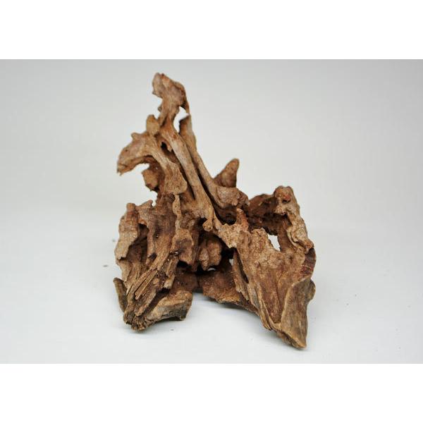 ソネケミファ ツイストウッド ｓｓ 天然流木 形状おまかせ Snkw55 トロピカルワールド ヤフー店 通販 Yahoo ショッピング