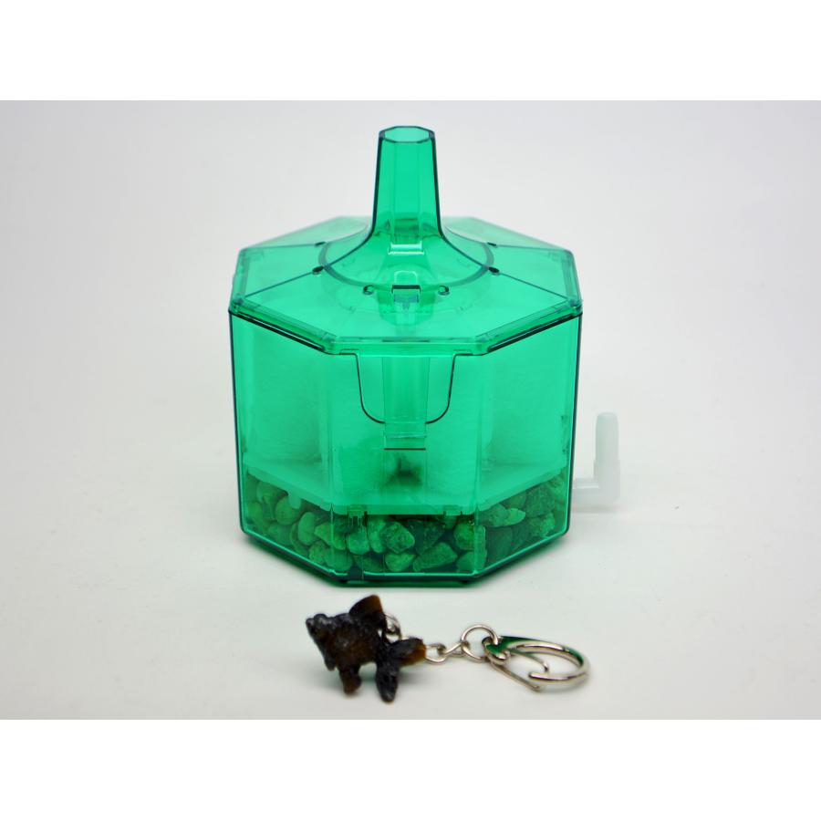 水作 限定仕様 水作エイトコアS クリアグリーン セラミック