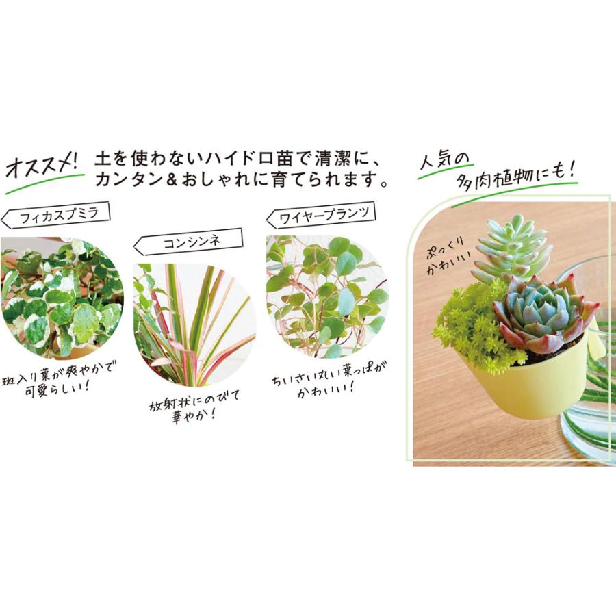水作 ハンギングプランター アクアブルー : トロピカルワールド ヤフー
