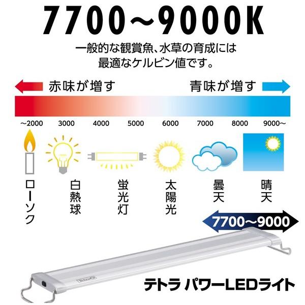 テトラ パワーｌｅｄライト ９０ 90 1cm水槽用ハイパワーｌｅｄライト Tetl3718 トロピカルワールド ヤフー店 通販 Yahoo ショッピング