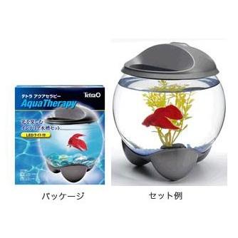 在庫処分 テトラ アクアセラピー 熱帯魚 アクアリウム 水槽 アクアリウム 水槽セット Tets1712 トロピカルワールド ヤフー店 通販 Yahoo ショッピング