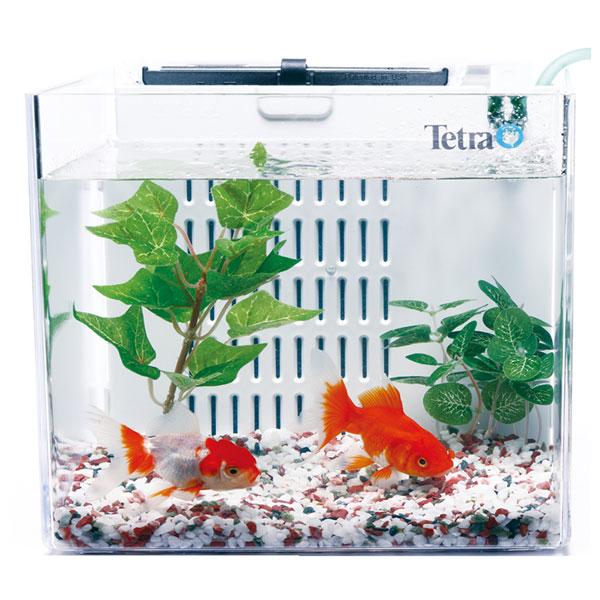 Tetra テトラ スマート金魚飼育セット SP-17GF : トロピカル
