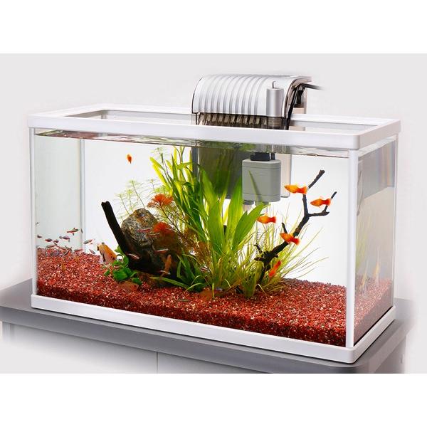 テトラ ホワイトアクアリウム スリム５２０ 52cm観賞魚飼育セット 熱帯魚 アクアリウム 水槽 アクアリウム 水槽セット Tetss13 トロピカルワールド ヤフー店 通販 Yahoo ショッピング