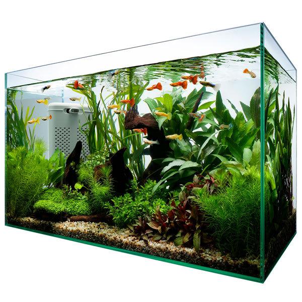 Tetra テトラ サイレントフレックスセット 60 60cmフレーム Tetra テトラ サイレントフレックスセット 60 60cmフレーム