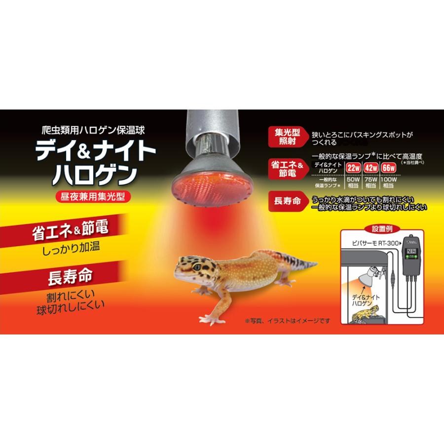 【未使用】ビバリア ＵＶＢ照射３点セット　爬虫類・両生類/照明・温度管理 ビバリア デイ&ナイトハロゲン 42W 爬虫類用ハロゲン保温球 昼夜兼用集
