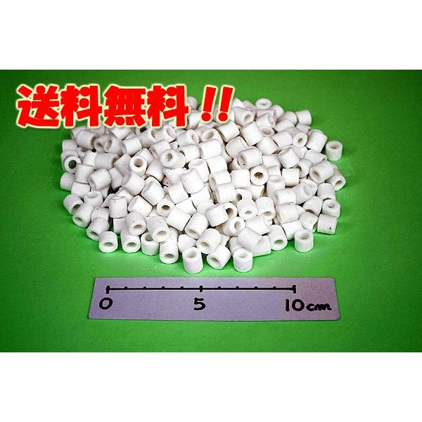 M1RCB99C224