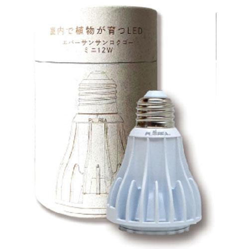 ゼンスイ エバーサン365 ミニ ホワイト EverSun365mini white 12W 植物