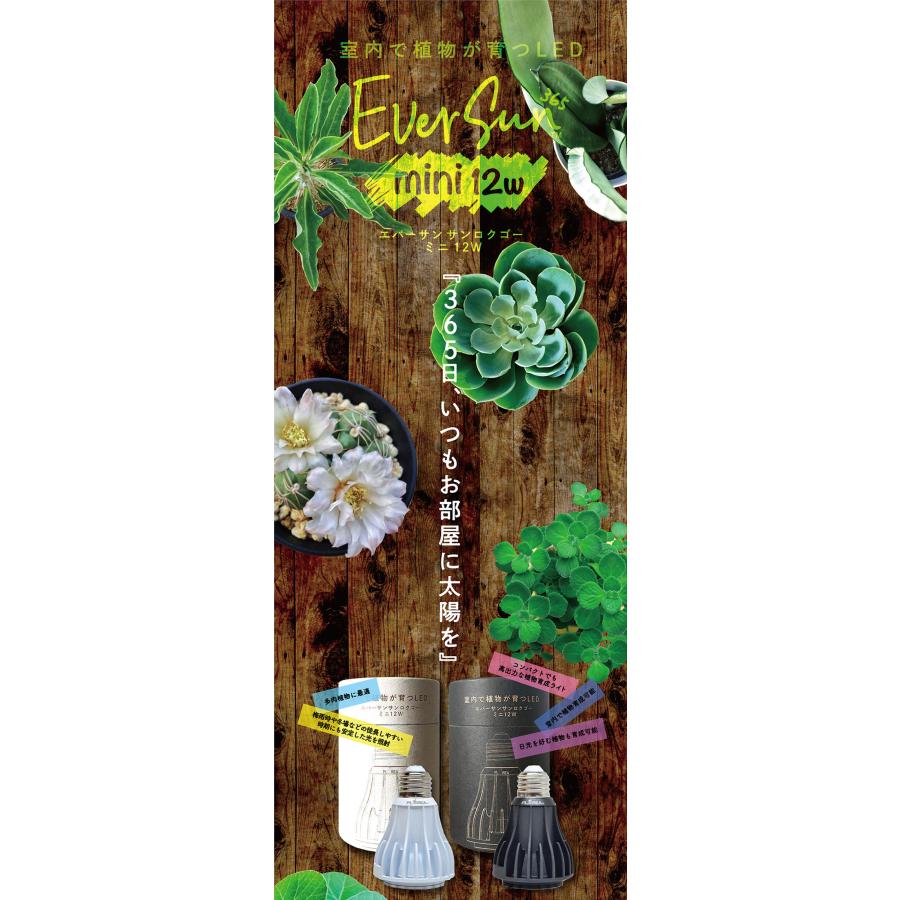 ゼンスイ エバーサン365 ミニ ホワイト EverSun365mini white 12W 植物