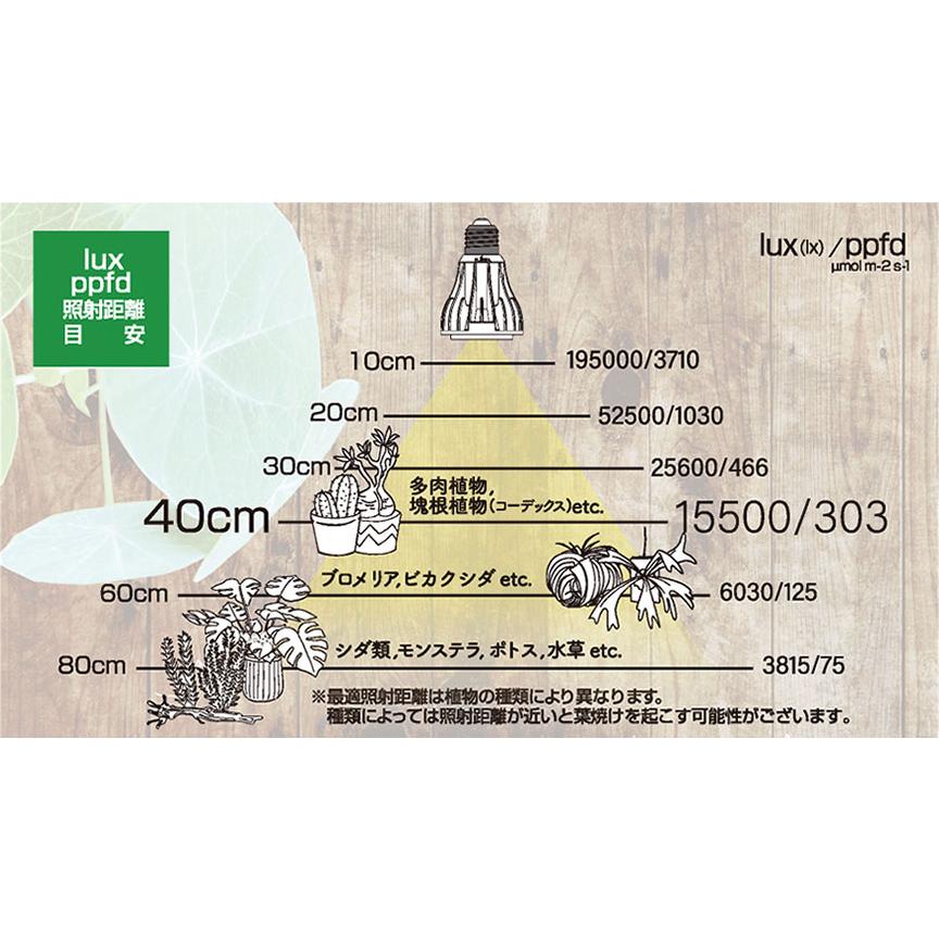 ゼンスイ エバーサン365 ミニ ホワイト EverSun365mini white 12W 植物