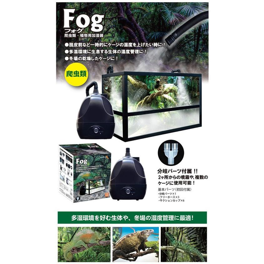 Fog　爬虫類加湿器 ゼンスイ 爬虫類 植物用加湿器 FOG(フォグ) テラリウム