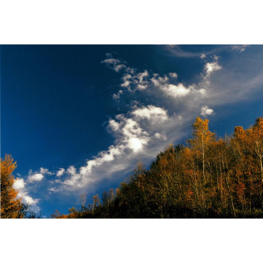 スピリチュアルフォトグラファー 秋元隆良 奇跡の写真 鳳凰 発光 開運 縁起物 雑貨ショップ トルヴェ 通販 Yahoo ショッピング