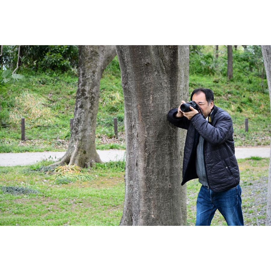 スピリチュアルフォトグラファー 秋元隆良 奇跡の写真 天空龍 開運 縁起物 写真 雑貨ショップ トルヴェ 通販 Yahoo ショッピング