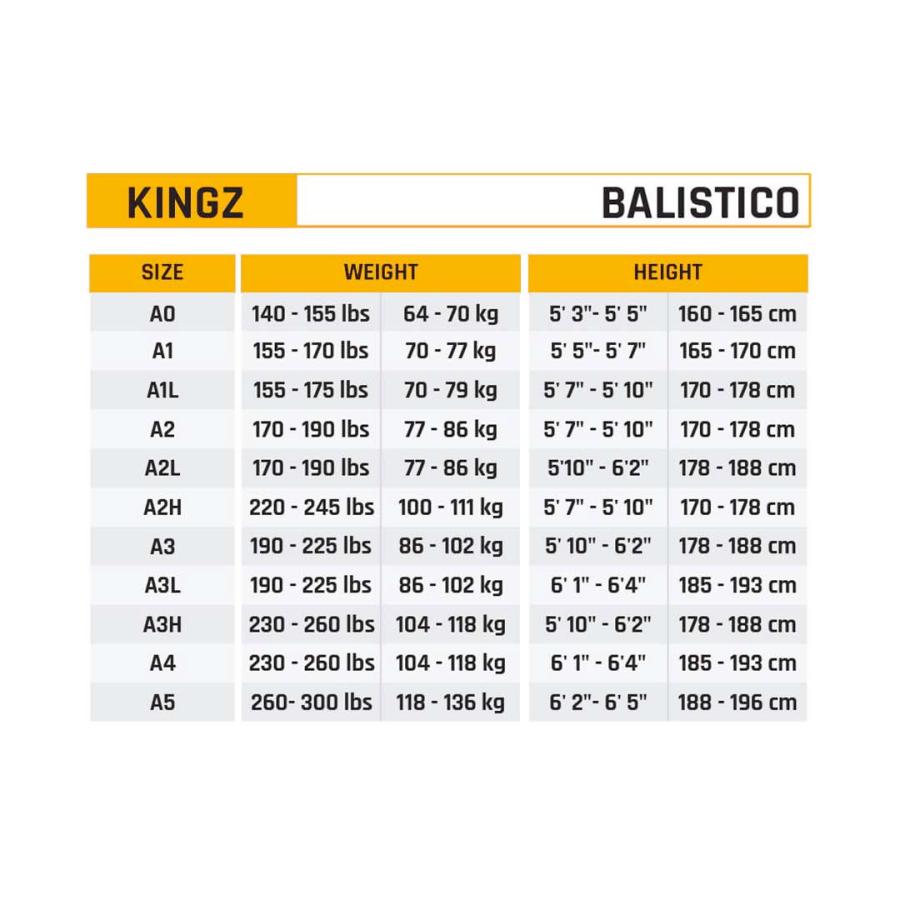 ブラジリアン柔術 KINGZ キングズ バリスティコ4.0 2024エディション 