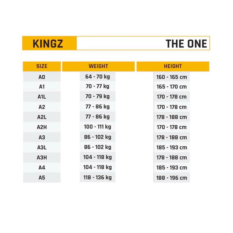 ブラジリアン柔術 KINGZ キングズ The ONE V2 ザ・ワンV2 青色 A0・A1