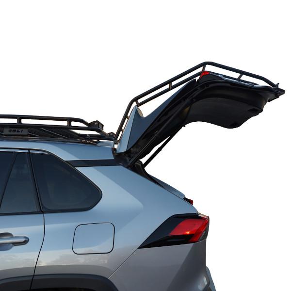 GOBI USA正規品 トヨタ 50系 RAV4 ステンレススチール リアラダー