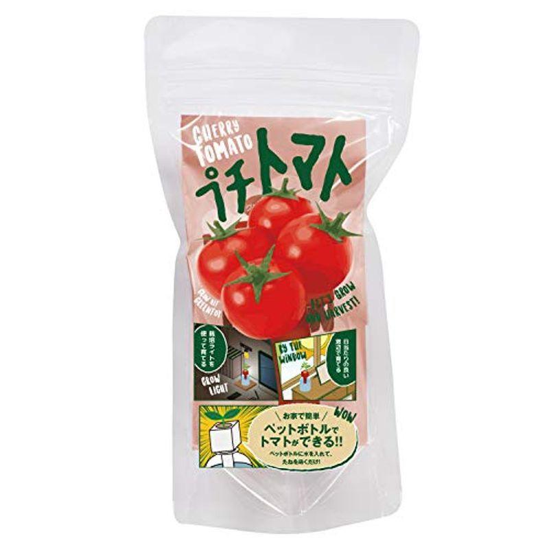 聖新陶芸 栽培キット グリーントイ プチトマト Gd 赤 売れ筋商品