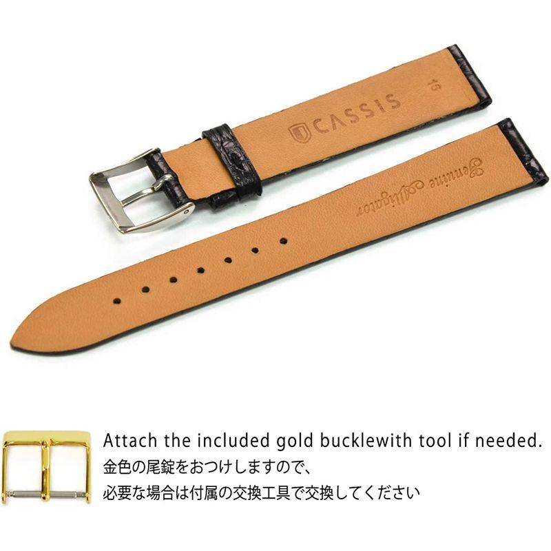 CASSISカシス カイマンクロコ(ワニ革) 時計ベルト COLMAR コルマール 16mm ブラック 交換用工具付き U0000A7201 カイマンクロコ ワニ革 時計ベルト COLMAR コルマール 16mm ブラック 交換用工具付き U0000A7201