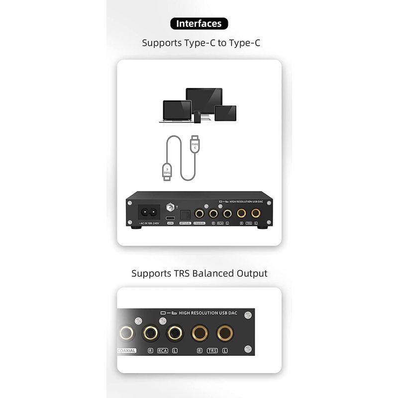 S.M.S.L D-6 デュアル AK4493s チップ Bluetooth 5.1 LDAC オーディオ