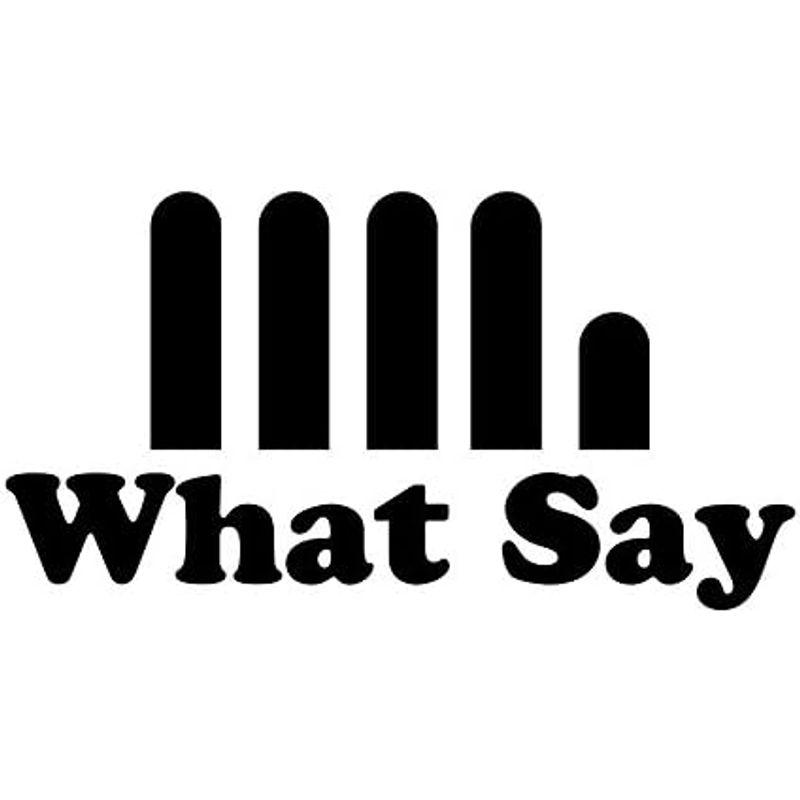 What Say カラーレンズ フラット ボストン メタル フレーム サングラス ヴィンテージ トレンド UV400 メンズ レディース ソ