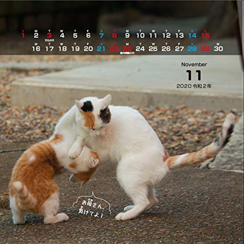 にゃんこ相撲カレンダー2020 (カレンダー)｜trudge-store｜02