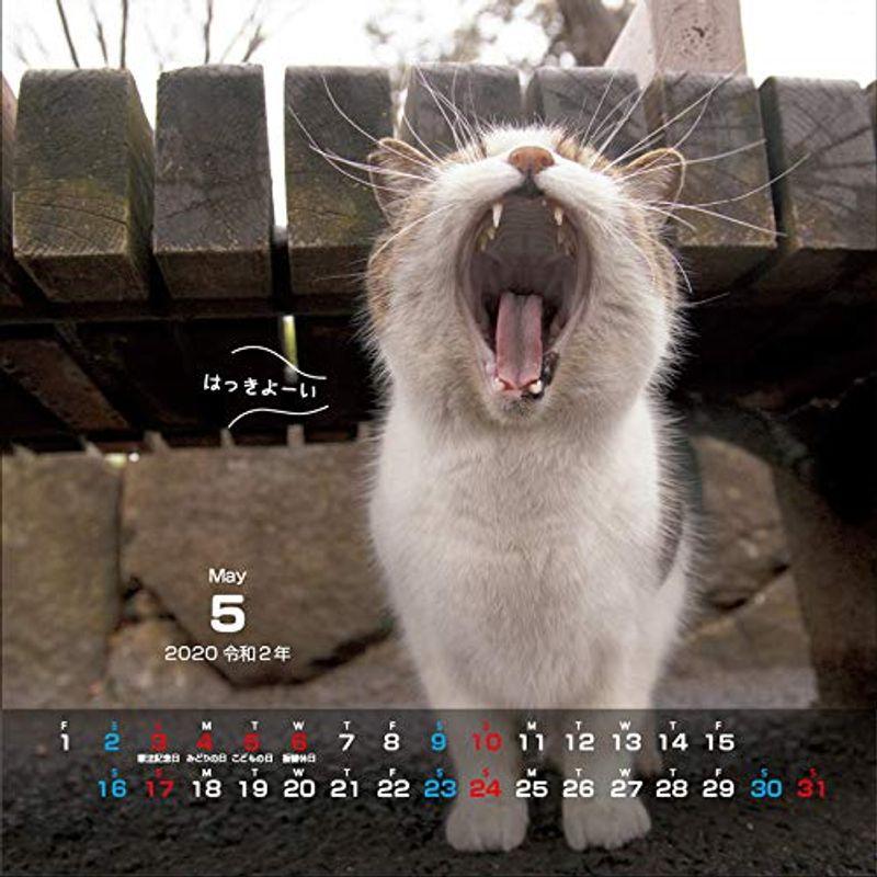 にゃんこ相撲カレンダー2020 (カレンダー)｜trudge-store｜09