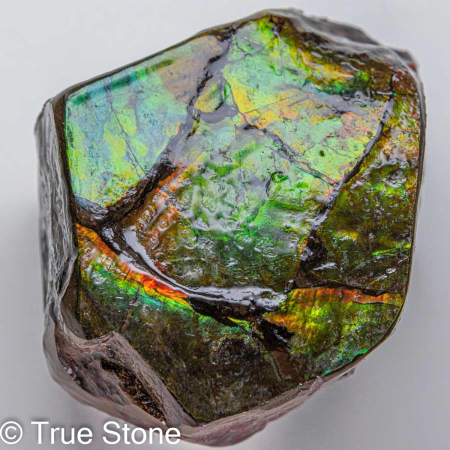 アンモライト　原石　2 アンモライト原石 アンモライト研究所【化石ジュエリー宝石販売ルーム】